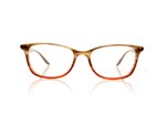 Barton Perreira Cassady BP5014/V Gypsy Rose 0ZA Glasses