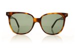 Celine CL4022IN Havana 53N Sunglasses