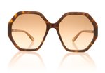 Chloé CH0008S 8 Havana 4 Sunglasses
