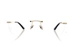 Cartier CT0254O 2540 Silver 2 Glasses