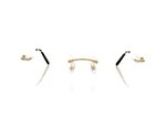 Cartier CT0045O Silver 1 Glasses