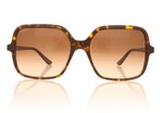 Cartier CT0219S Havana 002 Sunglasses