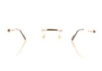 Cartier CT0343O Silver 002 Glasses