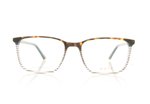 Dutz DZ2249 2249 Green/ Tortoise C46 Glasses