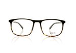 Eco Logan Biobased Logan Tortoise DTTG Glasses