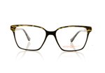 Etnia Barcelona Cariboo Golden Black GDBK Glasses