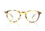 Garrett Leight Hampton 1001 Tortoise BIO SPT Glasses