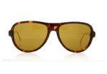 John Dalia Humphrey Dark Tortoise/42K Gold/Brown Lenses C12 Sunglasses