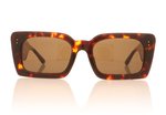 Linda Farrow Nieve Tortoise C2 Sunglasses