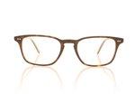 Oliver Peoples BERRINGTON OV5427U 362/Horn 1666 Glasses