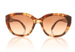 Prada 0PR 16XS Havana 07ROA6 Sunglasses