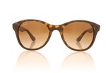 Ray-Ban RB4203 Light Havana 710/13 Sunglasses