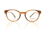 Starck SH3082 Havana 0001 Glasses