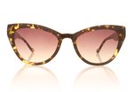 Sunday Somewhere SUN009 Tortoise C2 Sunglasses