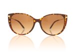 Tiffany 0TF4178 TF4178 Havana 80153B Sunglasses