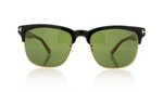 Tom Ford LOUIS TF0386 Black/Other 05N Sunglasses