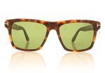 Tom Ford Buckley 2 TF906 Tortoise 53N Sunglasses