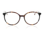 Einstoffen Regenmacher Havana & Mint 6073 Glasses