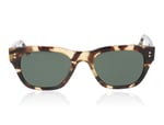 Taylor Morris James Tortoise C2 Sunglasses