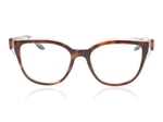 Barton Perreira Welch BP5314/V Autumn Blaze AUB Glasses