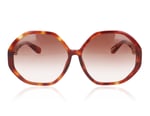 Linda Farrow Paloma Tortoise Mix C3 Sunglasses