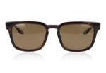 Barton Perreira Hamilton Dark Walnut DAW Sunglasses