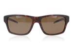 Bollé Status Tortoise BS043003 Sunglasses