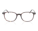 ProDesign 4790 Brown Tort 5521 Glasses