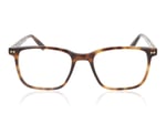 Taylor Morris TM010 Tortoise C4 Glasses