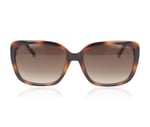 Radley RDS 6517 Brown Tort 102 Sunglasses
