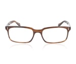 Oliver Peoples DENISON OV5102 Tuscany Tortoise 1724 Glasses