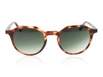 Taylor Morris Oxford Tortoise C2 Sunglasses