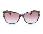 Tom Ford ELSA TF1108 Purple Tort 55Z Sunglasses