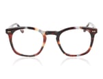 Taylor Morris TM018 Tortoise mixture C5 Glasses