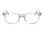 Moscot Boychik Sage 1900 01 Glasses