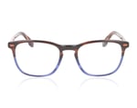 Woodys Dumas Brown Tort Blue 03 Glasses