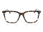 Taylor Morris TM012 Tortoise C4 Glasses