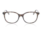 Swarovski SK2002 Havana 1002 Glasses