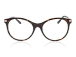 Gucci GG1450O Havana/Transparent 002 Glasses