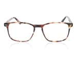 Taylor Morris TM016 Tortoise Mixture C4 Glasses