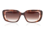 Barton Perreira Binti BP0263/S Autumn Blaze AUB Sunglasses