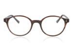 ProDesign PD4729 4729 Brown 5621 Glasses
