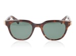 Eyevan 7285 Vadim-E Tortoise TORT2G-C Sunglasses