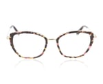 Taylor Morris TM021 Tortoise C2 Glasses