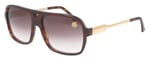 John Dalia STEVE Tortoise/24K Gold/Graduated Brown C13 Sunglasses