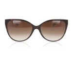 Tiffany TF4089B Havana On Tiffany Blue 81343B Sunglasses
